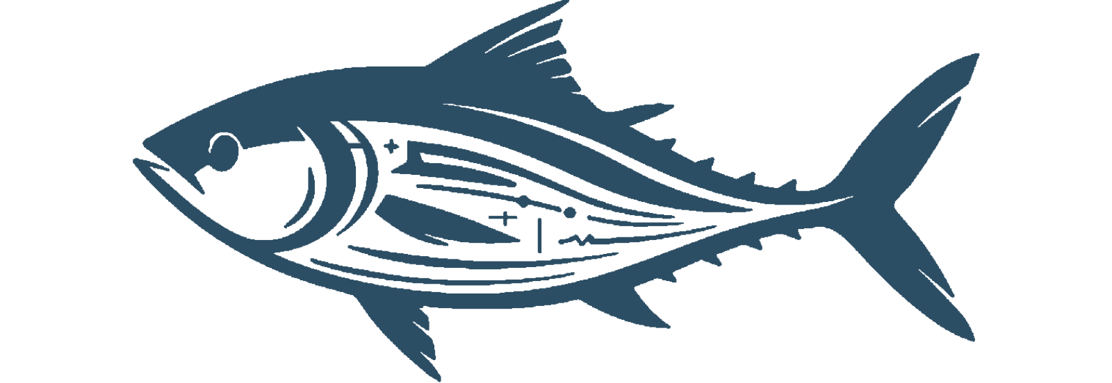 Tokyo Toro Fish